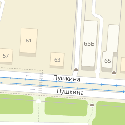 Пушкина 65 карта