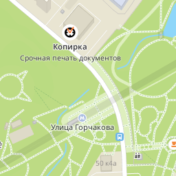 Карта горчакова 11